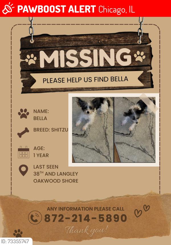 Lost Female Dog last seen Cottage Grove, Chicago, IL 60653
