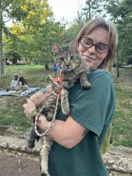 Found/Stray Unknown Cat last seen Meridian Hill / Malcom X Park, Washington, DC 20009