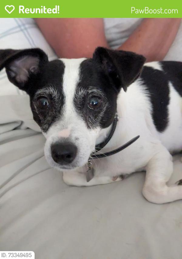 Reunited Female Dog last seen Jasmine, El Cajon, CA 92019