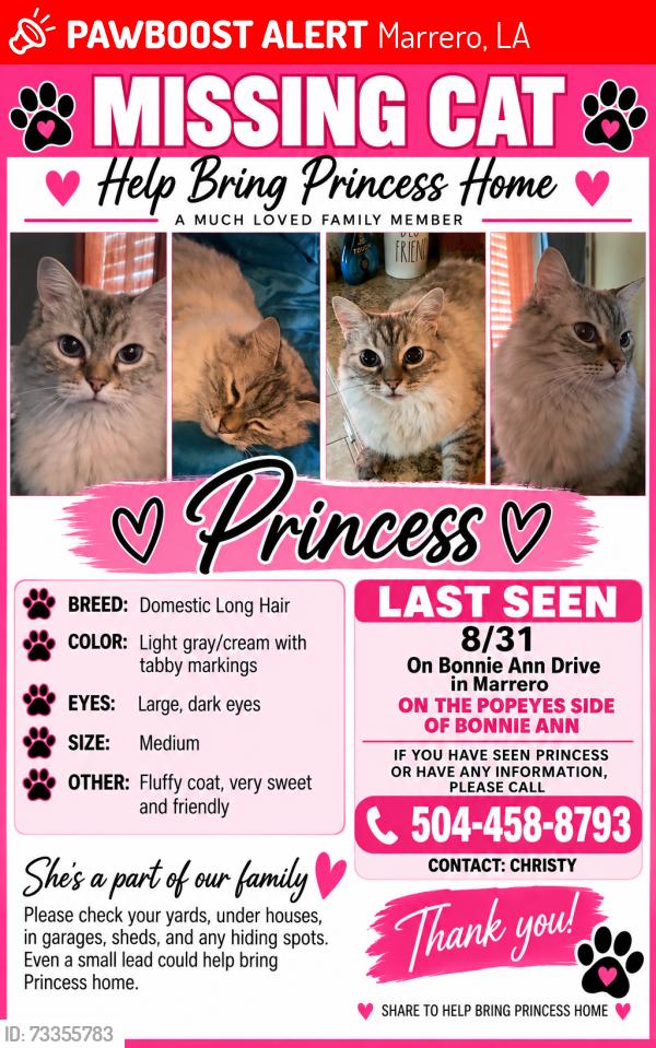 Lost Female Cat last seen Lapalco blvd and Bonnie Ann drive, Marrero, LA 70072