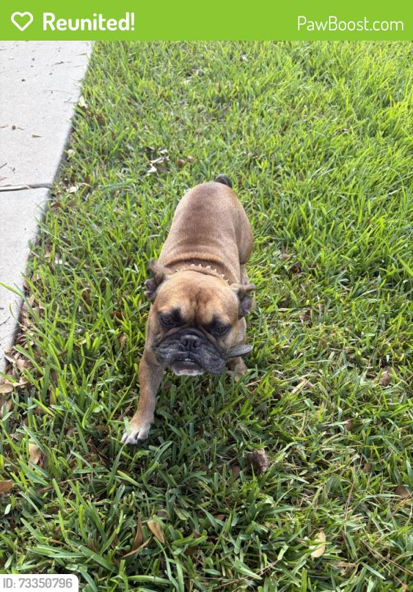 Reunited Male Dog last seen Highway 105 and McCaleb, Conroe, TX 77316
