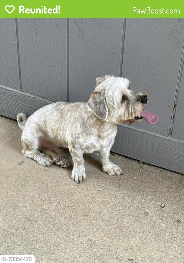 Reunited Unknown Dog last seen Near Benge Dr, Arlington, TX 76013, USA, Arlington, TX 76013