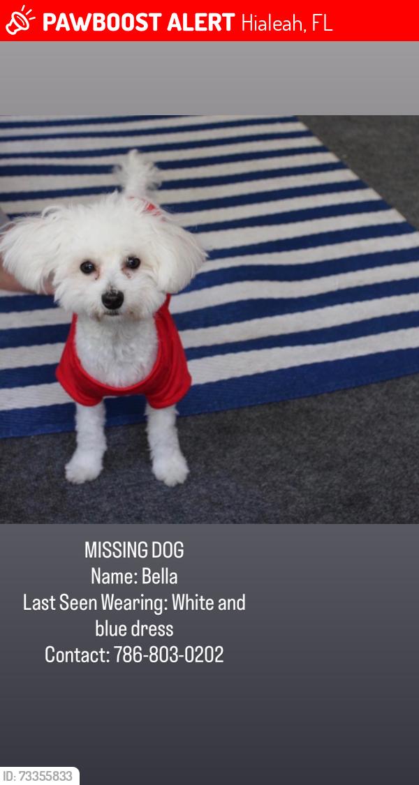 Lost Female Dog last seen Near Hialeah Fl 33014 (6975 W 7th Ave ), Hialeah, FL 33014