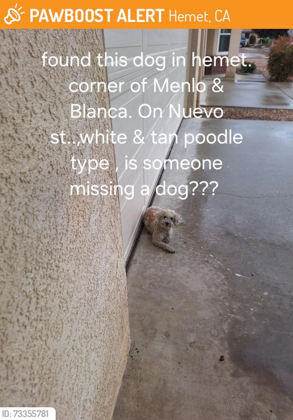 Found/Stray Unknown Dog last seen Menlo, and Blanca on Nuevo st., Hemet, CA 92545