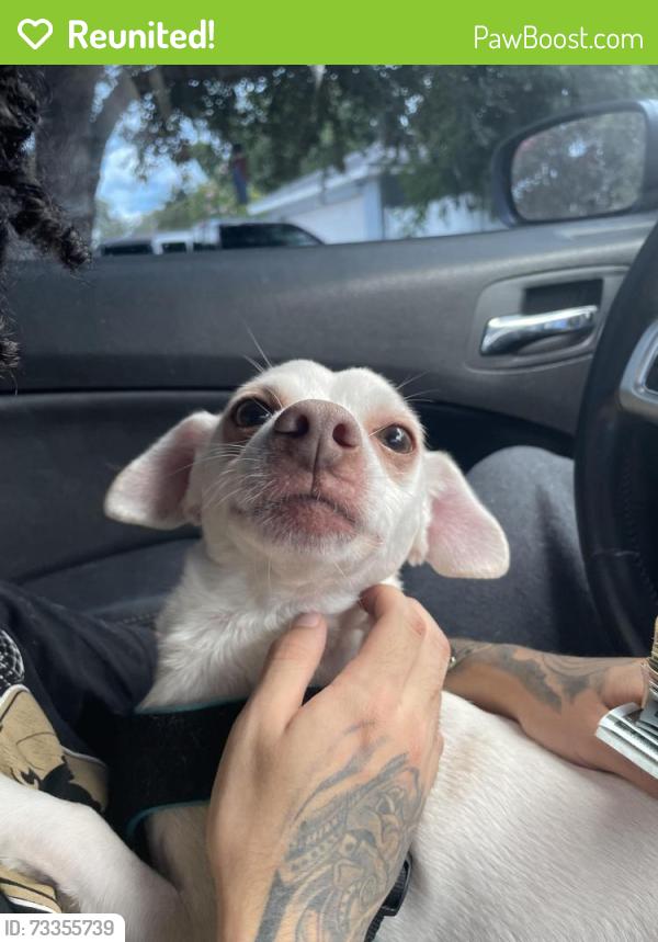 Reunited Male Dog last seen Near arrendonda dr deltona, Deltona, FL 32738
