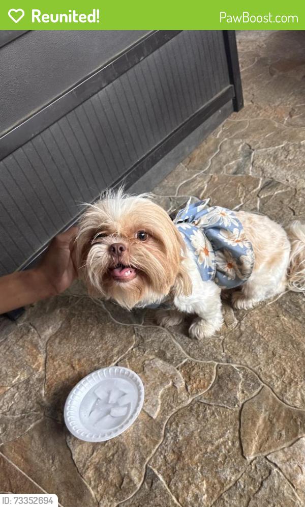 Reunited Female Dog last seen Hardisty/ copper, Arlington, TX 76001