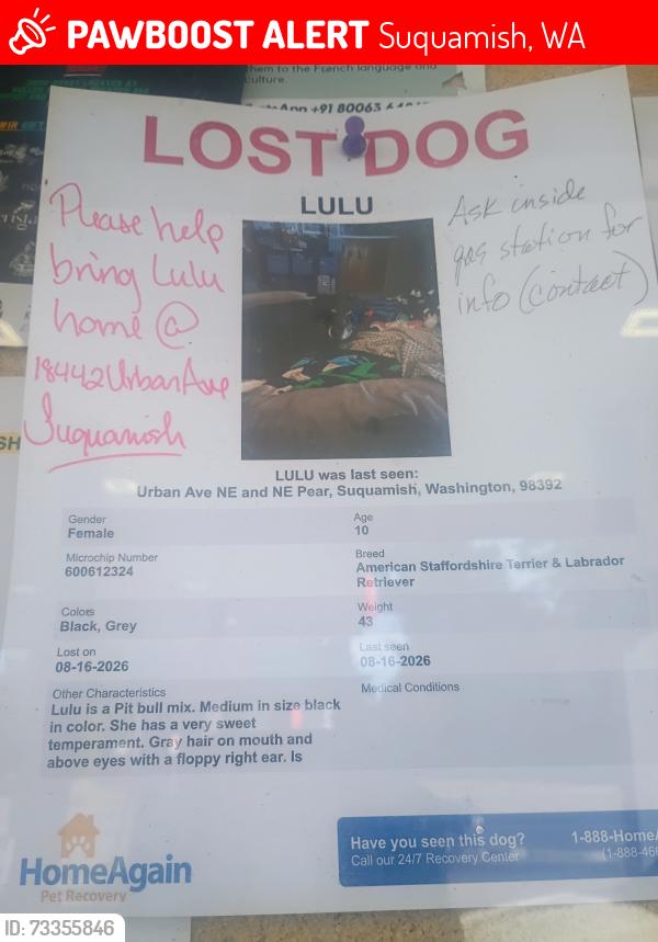 Lost Female Dog last seen Urban ave NE and NE Pear, Suquamish, WA 98392