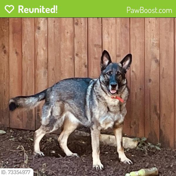 Reunited Male Dog last seen Business 1187 & Park Meadows, Crowley, TX 76036