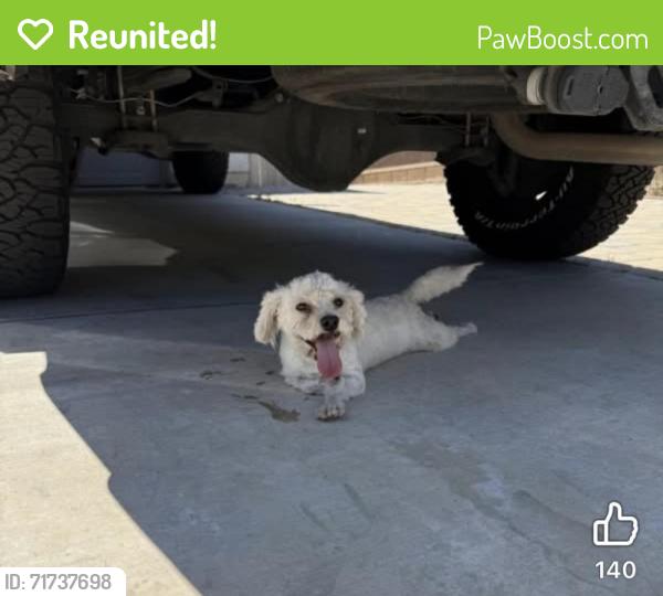 Reunited Female Dog last seen Tulita, Menifee, CA 92584