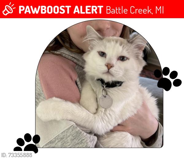 Lost Male Cat last seen B Dr. N, Battle Creek, MI 49014