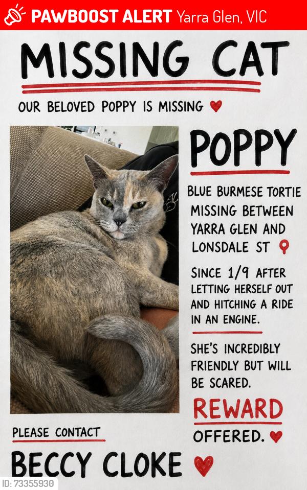 Lost Female Cat last seen Yarra Glen, Yarra Glen, VIC 3775
