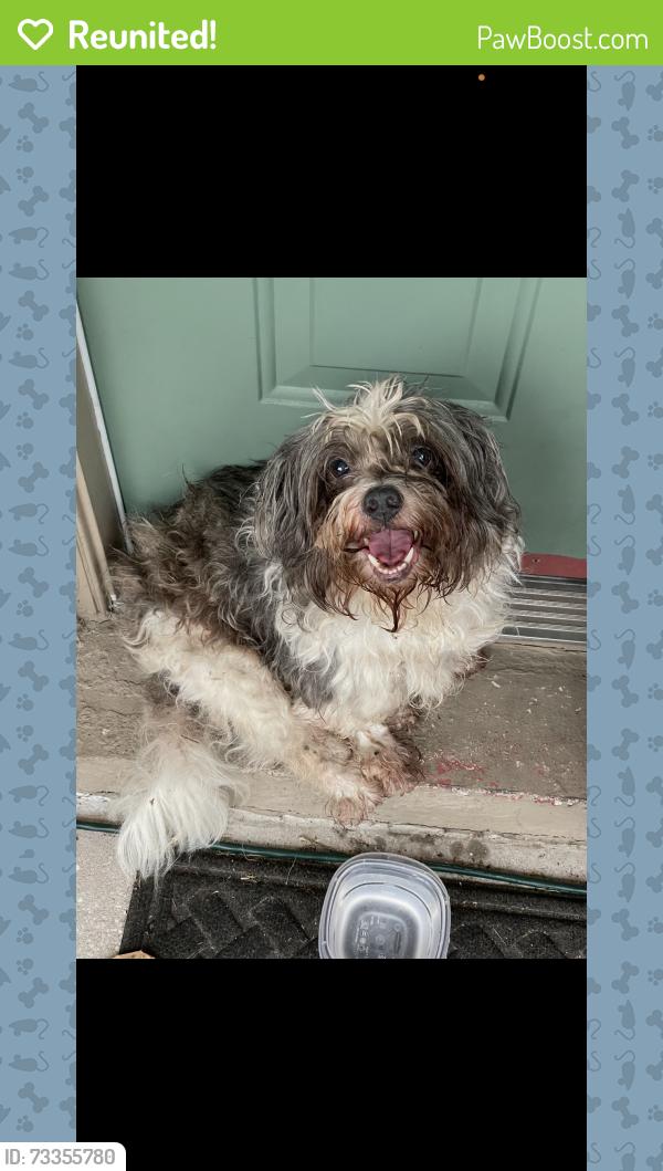 Reunited Unknown Dog last seen Anna joe, Citrus County, FL 34452