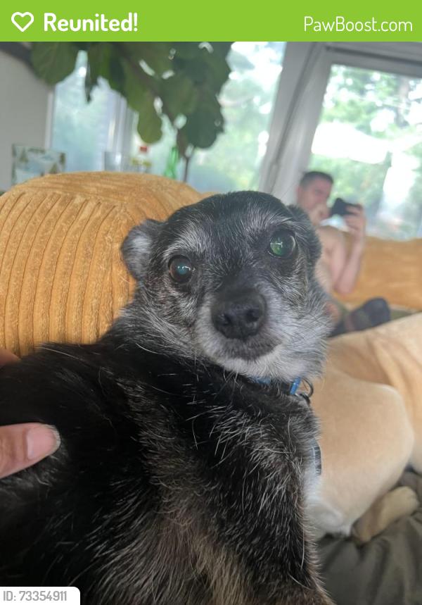 Reunited Male Dog last seen Noe Bixby road and main street, Columbus, OH 43213