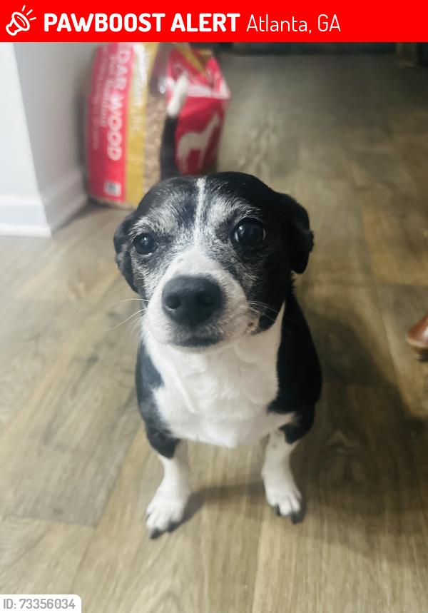 Lost Male Dog last seen Plaster, Atlanta, GA 30345
