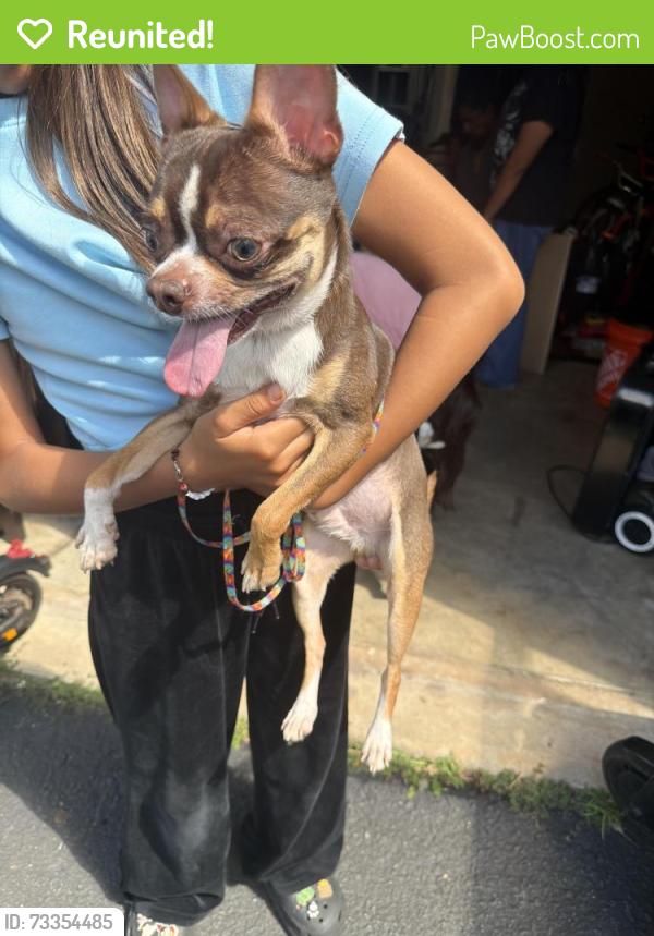 Reunited Male Dog last seen Frederic dr, Sterling, VA 20164