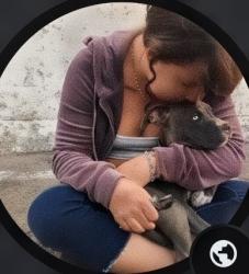 Lost Female Dog last seen In the alley of 8416 Cedros Ave, Panorama City, CA 91402, Los Angeles, CA 91402