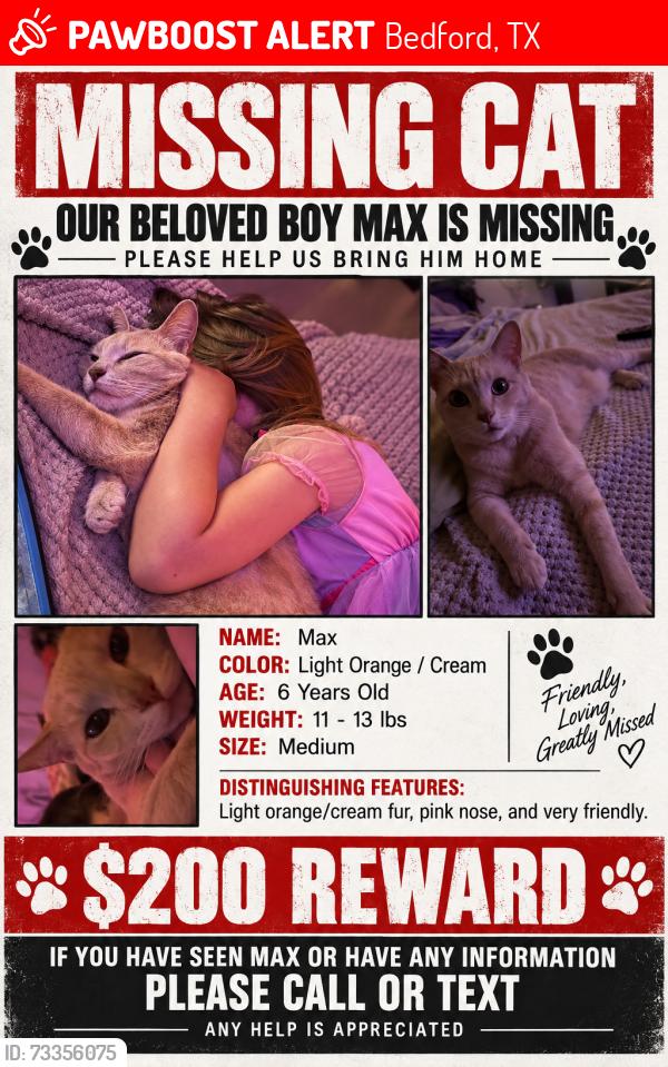 Lost Male Cat last seen Near bedford Rd , fortworth, Bedford, TX 76022