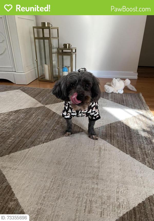 Reunited Male Dog last seen Riverside, Riverside, IL 60546