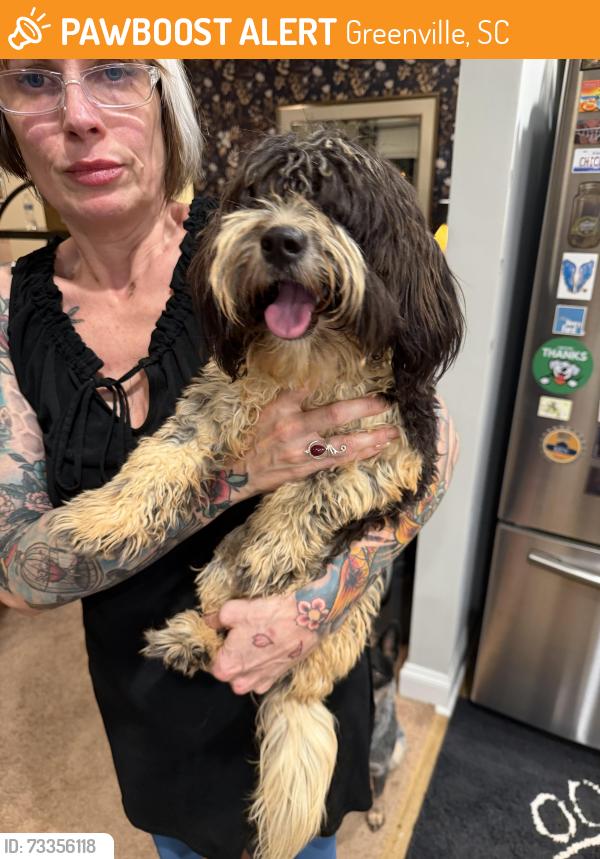 Found/Stray Unknown Dog last seen Fork Shoal, Greenville, SC 29605