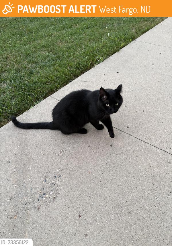 Found/Stray Unknown Cat last seen Westport beach s, West Fargo, ND 58078