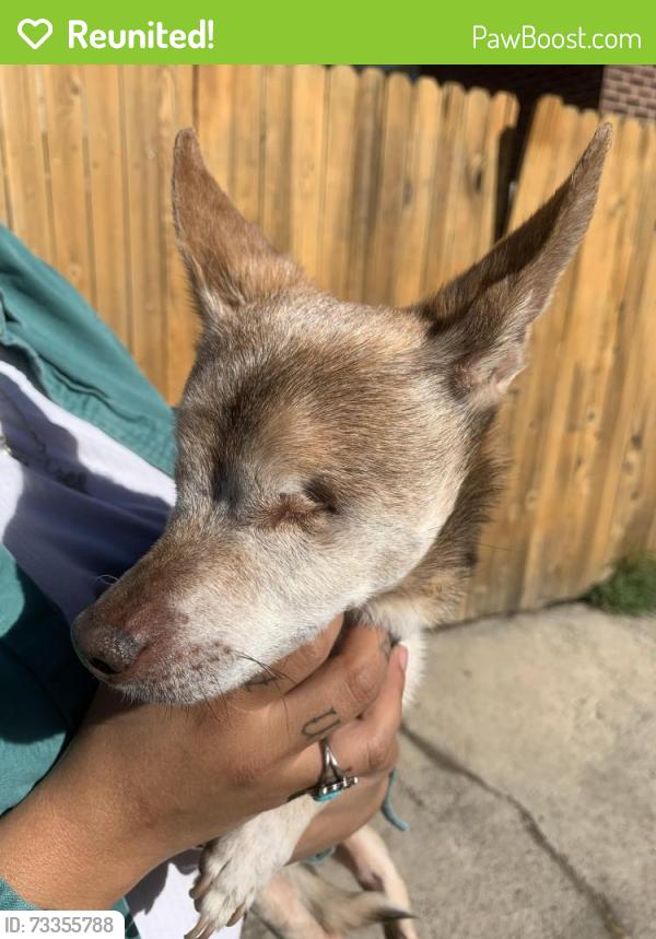 Reunited Male Dog last seen Near North and 700 West, SLC, Salt Lake City, UT 84101