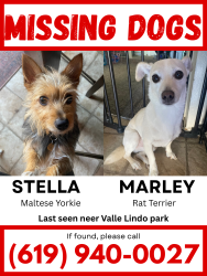 Reunited Female Dog last seen Brandywine Ave and Main St, Chula Vista, CA 91911