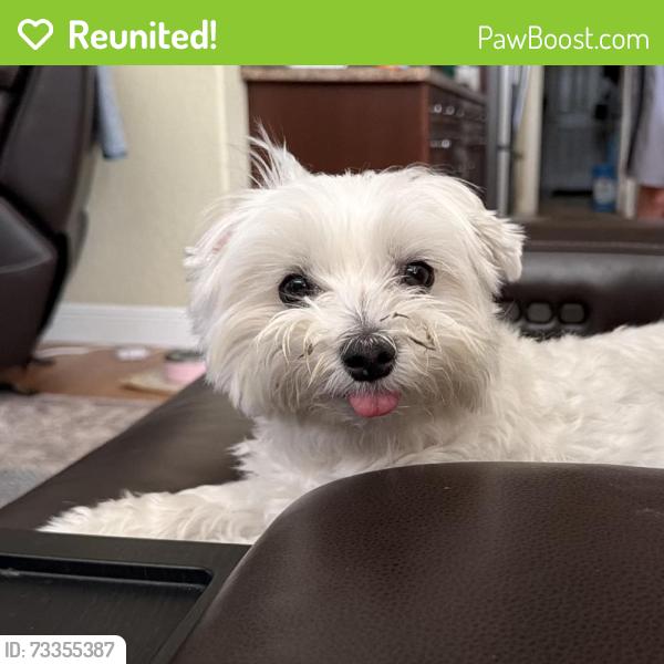 Reunited Female Dog last seen Near 61st Pl N, Loxahatchee, FL 33470, USA, The Acreage, FL 33470