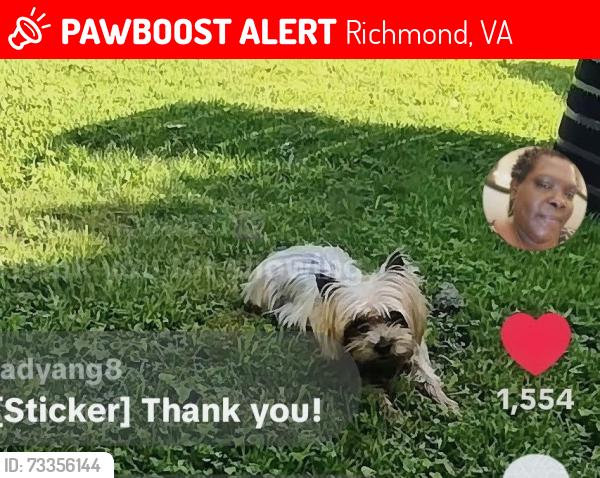 Lost Male Dog last seen Darbytown Rd & Geffert Dr, Richmond, VA 23231