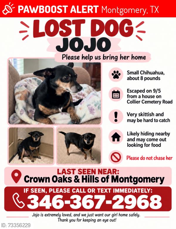 Lost Female Dog last seen Collier Cemetery Rd and Majestic Dr, Montgomery, TX 77316