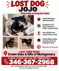 Lost Female Dog last seen Collier Cemetery Rd and Majestic Dr, Montgomery, TX 77316