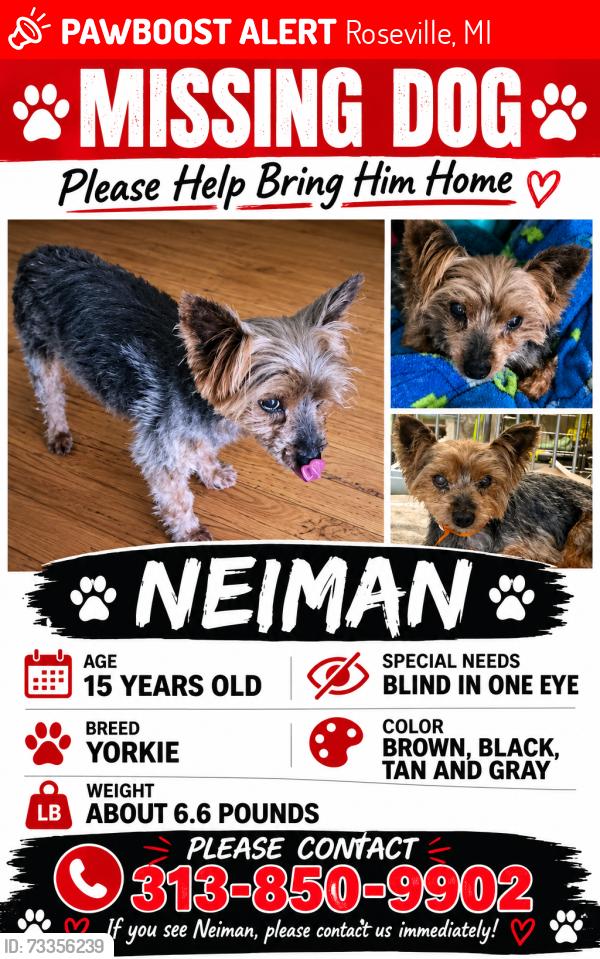 Lost Male Dog last seen 13 mile and Gratiot, Roseville, MI 48066