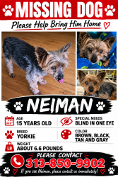Lost Male Dog last seen 13 mile and Gratiot, Roseville, MI 48066
