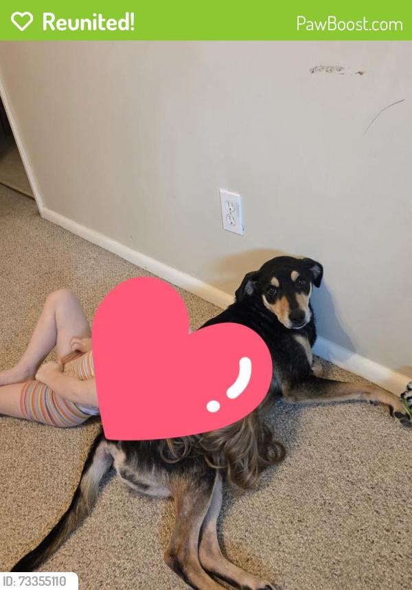 Reunited Female Dog last seen Flowing wells rd right by Martinez Elementary, Martinez, GA 30907