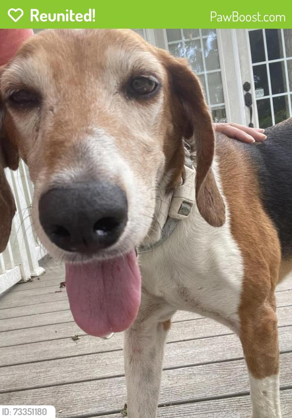 Reunited Male Dog last seen Kinston Airport, Kinston, NC 28501