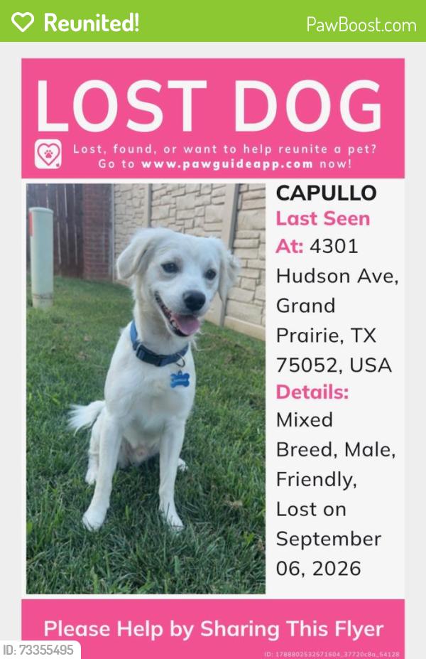 Reunited Male Dog last seen Bardin rd and Hudson rd, Grand Prairie, TX 75052