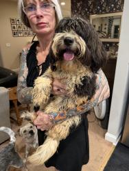 Found/Stray Male Dog last seen Storage zone, Greenville, SC 29605