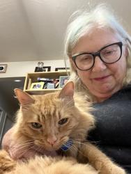 Reunited Male Cat last seen Marlow drive, Oakland, CA 94605