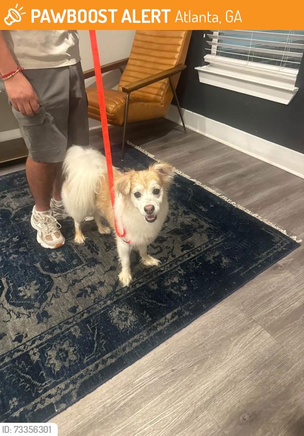 Found/Stray Male Dog last seen Falkner road, Atlanta, GA 30324