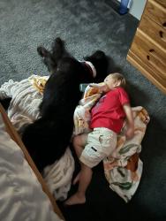 Reunited Male Dog last seen Grandstaff Ave, Auburn, IN 46706