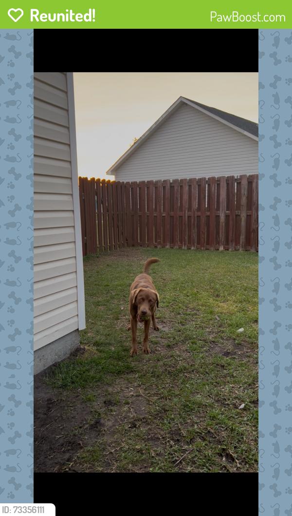 Reunited Male Dog last seen Bradfield dr, Wilmington, NC 28411