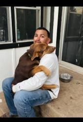 Reunited Male Dog last seen Near S Oxford Dr, San Angelo, TX 76904