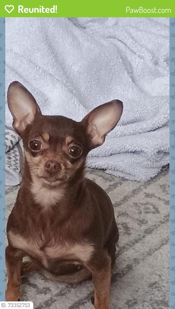 Reunited Female Dog last seen Avilla eastlake, Thornton, CO 80241