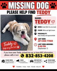 Reunited Male Dog last seen Highland Meadows Dr, Texas 77469, USA, Fort Bend County, TX 77469