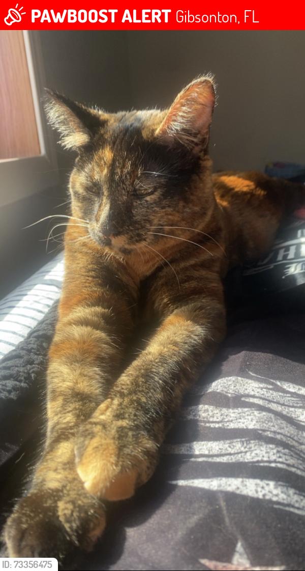 Lost Female Cat last seen Near ethel st, Gibsonton, FL 33534