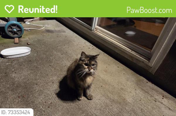 Reunited Unknown Cat last seen NE 109th Ave & NE Fremont St, Portland, OR 97220, USA, Portland, OR 97220