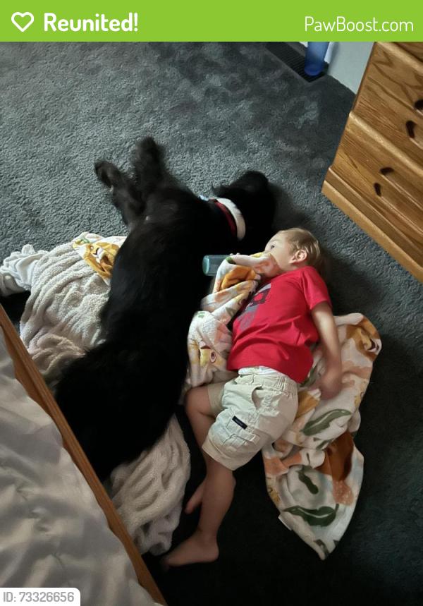 Reunited Male Dog last seen Grandstaff Ave, Auburn, IN 46706