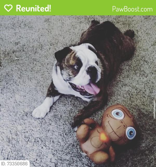 Reunited Female Dog last seen Janell Ln, Stockton, CA 95206, USA, Stockton, CA 95206