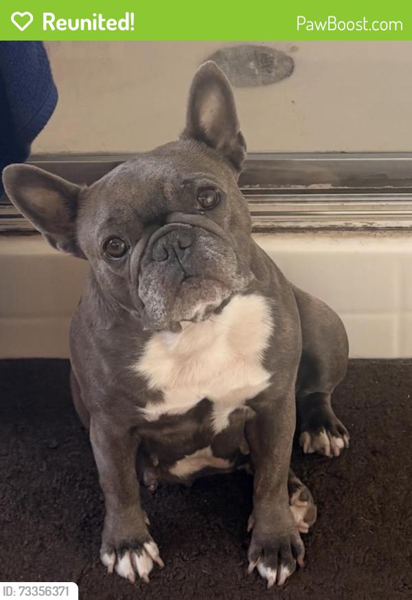 Reunited Female Dog last seen Philadelphia, Pomona, CA 91766