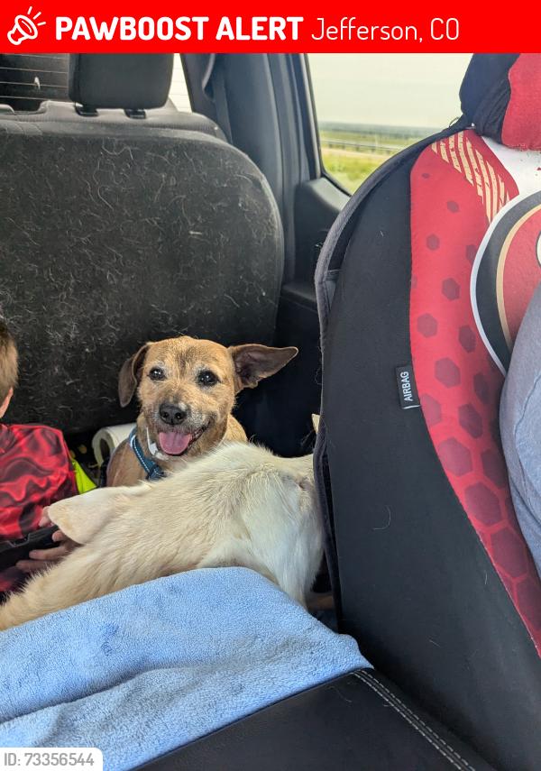 Lost Male Dog last seen Lost Park Campground off of road 854, Jefferson, CO 80456