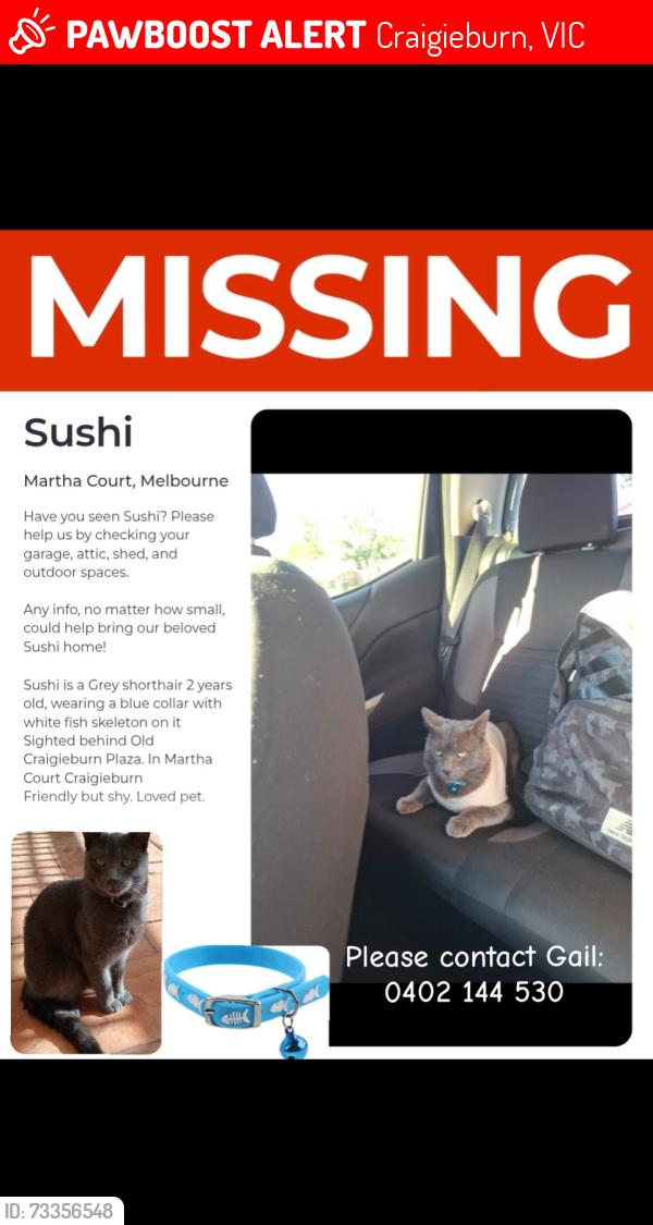 Lost Male Cat last seen Craigieburn behind thw old Craigieburn plaza, Craigieburn, VIC 3064